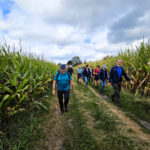 Clubwandeling De Biehal – 24/09/2024